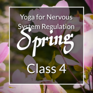 Yoga for Nervous System Regulation Spring series, Class 4