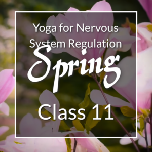 Yoga for Nervous System Regulation Spring series, Class 11.