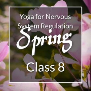 Yoga for Nervous System Regulation Spring series, Class 8