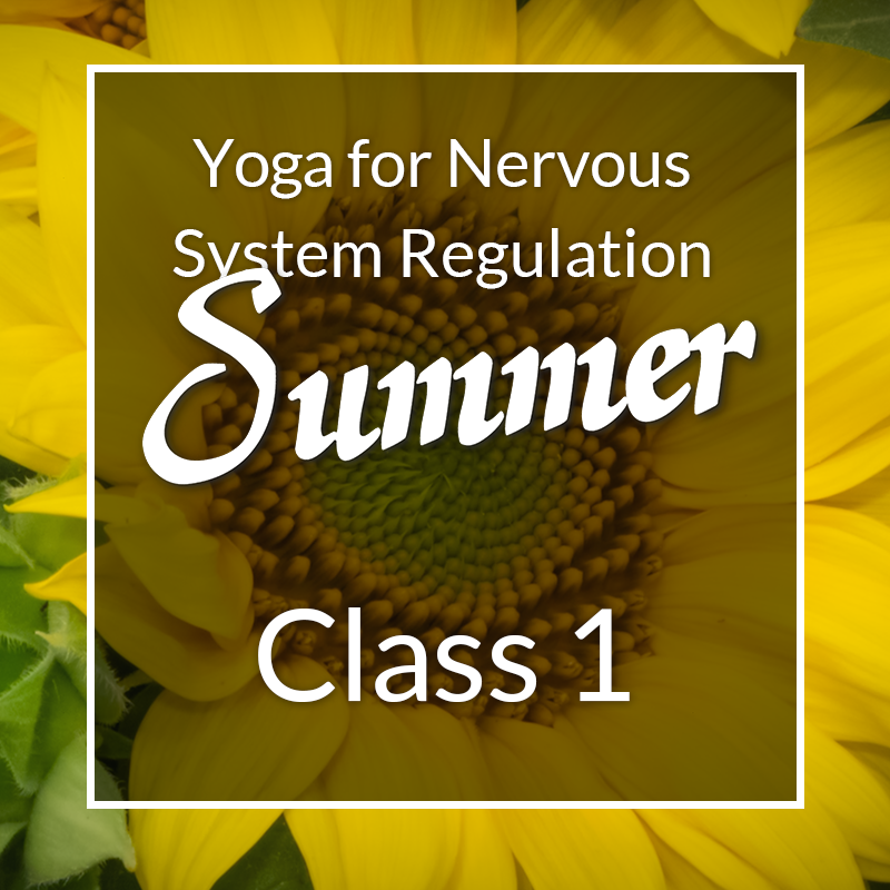 Yoga for Nervous System Regulation Summer series, Class 1.